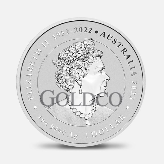 2023 Silver Great-Barrier Reef Stingray Back