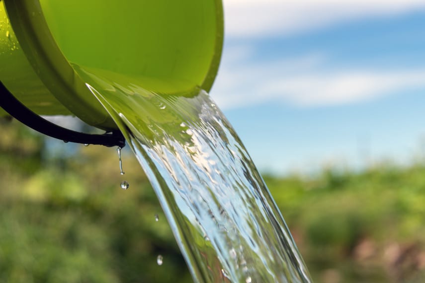 bucket of cold water