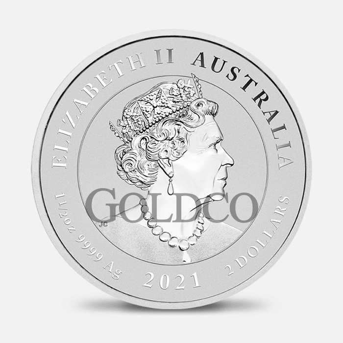 2021 Australian Spotted Eagle Ray Back