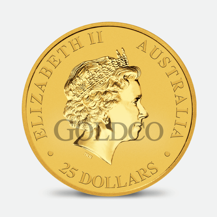 Gold Australian Saltwater Crocodile